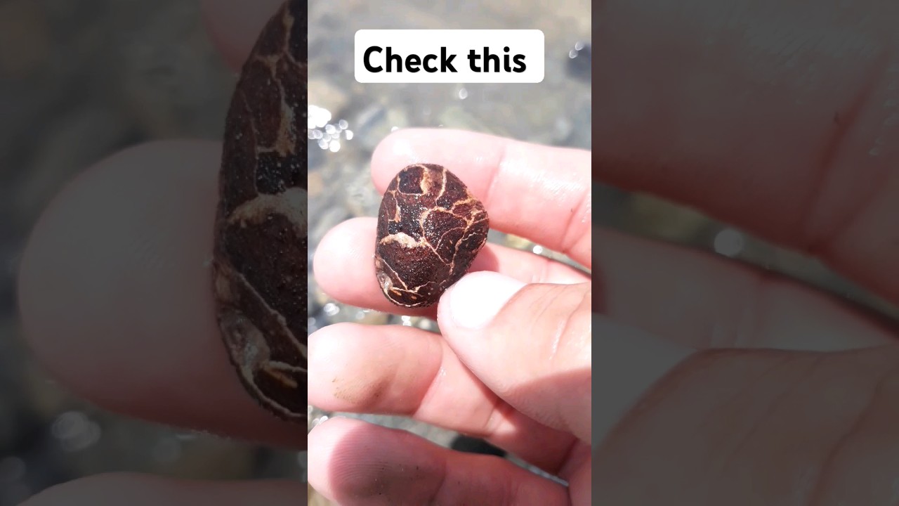 viral this stone please 