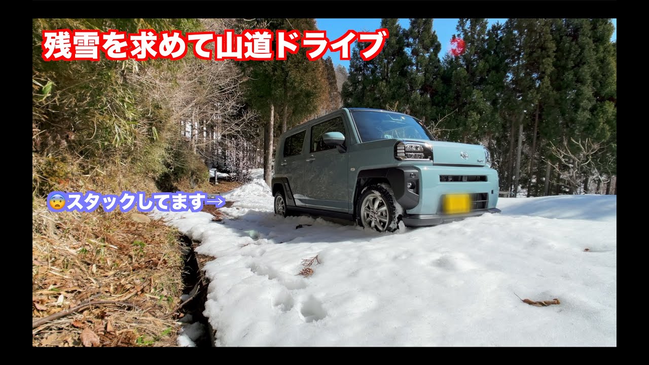 タフトGターボ４WD 残雪残る山道ドライブ 雪道スタック