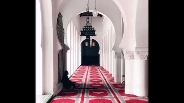 ما تيسر من سورة يونس - معاذ الدويك