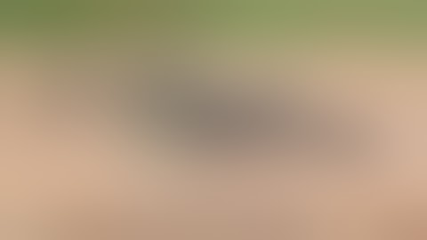 At The Range: L2A3 Sterling Mk.4 Submachine Gun