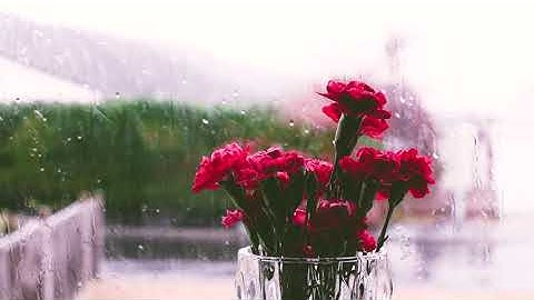 "قُلْ إِنَّمَا أُنذِرُكُم بِالْوَحْيِ ۚ "سورة الأنبياء |اسلام صبحي