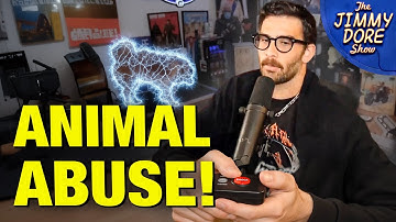 Hasan Piker Accused Of Electric SHOCKING His Dog On Camera!