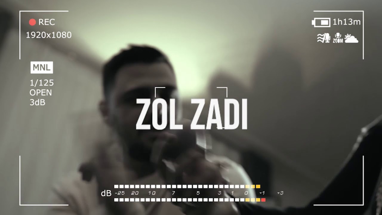 Siavash Palahang - Zol zadi