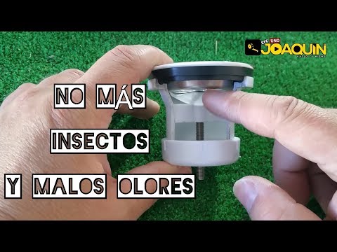 Vídeo: Bioacceleradors Antiolors Al Lavabo Del País