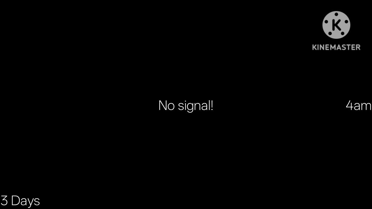 Varta labrador 2 Days 3 Days Wayne