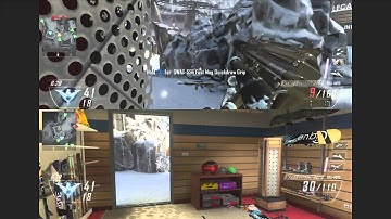 BO2 Swarm with every gun