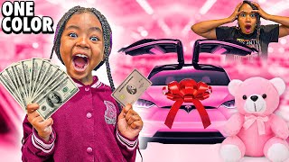 BUYING Anything In ONE COLOR For 24 Hours CHALLENGE! ** GONE WRONG | Winning Fam