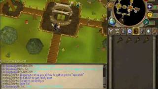 How To Get To Ape Atoll On RuneScape