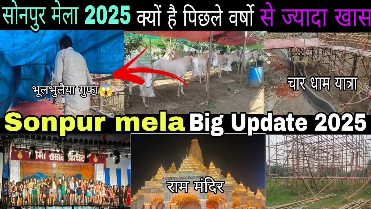 Sonpur mela latest update 2025| Asia biggest cattle fair | सोनपुर मेला 2025