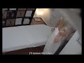 #Czech massage hidden Camera #2