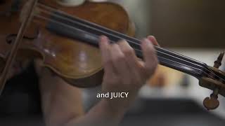 Star Vibrato vs Transportation Vibrato - Danielle Belen explains