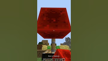 Minecraft: Creeper head hack! #shorts
