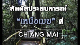 [Chiangmai - กิ่วแม่ปาน ] เที่ยวเชียงใหม่ แบบหนาวๆ ที่ดอยอินทนนท์ (ทะเลหมอก)