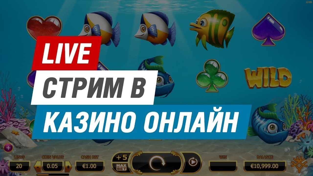 Казино стрим онлайн сейчас ютуб Казино стрим онлайн сейчас ютуб selecta casino