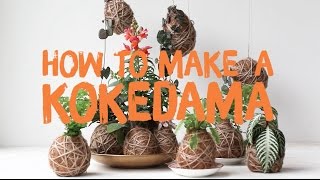 Annabels guide to making your own kokedamas