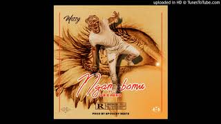 Mizzy_Ngenza Ngamabomu ftft PA x Nerd (prod by Spoochy)