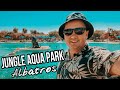 СКАЗОЧНЫЙ ОТЕЛЬ - ALBATROS JUNGLE AQUA PARK 4*🦩 | ХУРГАДА, ЕГИПЕТ 2021