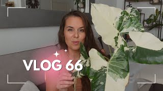 Astuces pour s'absenter avec des plantes | VLOG 66 |