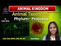 ✅Animal Kingdom | Taxonomy, Phylum &amp; Protozoa Explained in One Shot | 11-12th CUET UG/PG | SET | NET