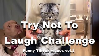 Try Not To Laugh Challenge - Funny TikTok pranks, hacks and tricks │BEST TIKTOK VIDEOS 2022