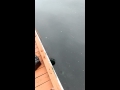 Me catching no crab. Fox Island