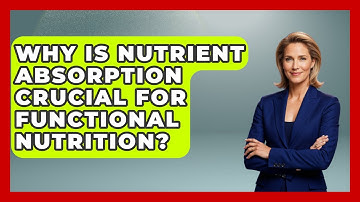 Why Is Nutrient Absorption Crucial For Functional Nutrition?