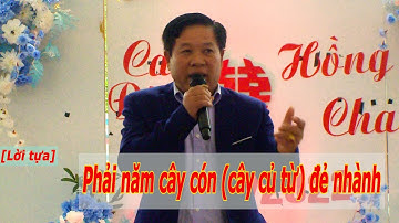 Độc Đáo Phát Biểu Trao Dâu Nhận Rể Bằng Tiếng Mường Hoà Bình [Có phụ đề]