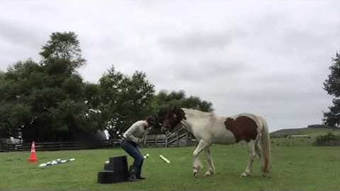 Free-shaping back up - session #3