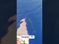 #fishing