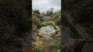Shocking Green Pool ➡️ Backyard Utopia! 🤯 #gardening #permaculture #urbanfarming #backyardgarden