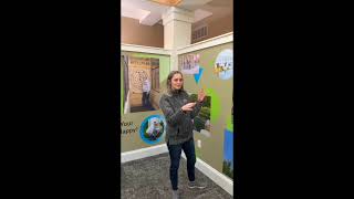 Designing and installing wall decals to transform a space