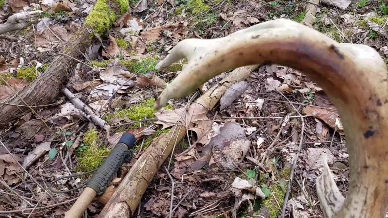 Southeastern Ohio shed antler hunting 2018 YouTube