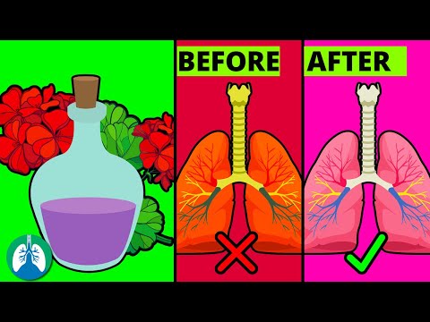 How to Cleanse Your Lungs with Geranium