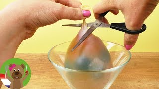 L Orbeez Experiment Ballon Opensnijden Hoeveel Water Zit Er Nog In? Diy
