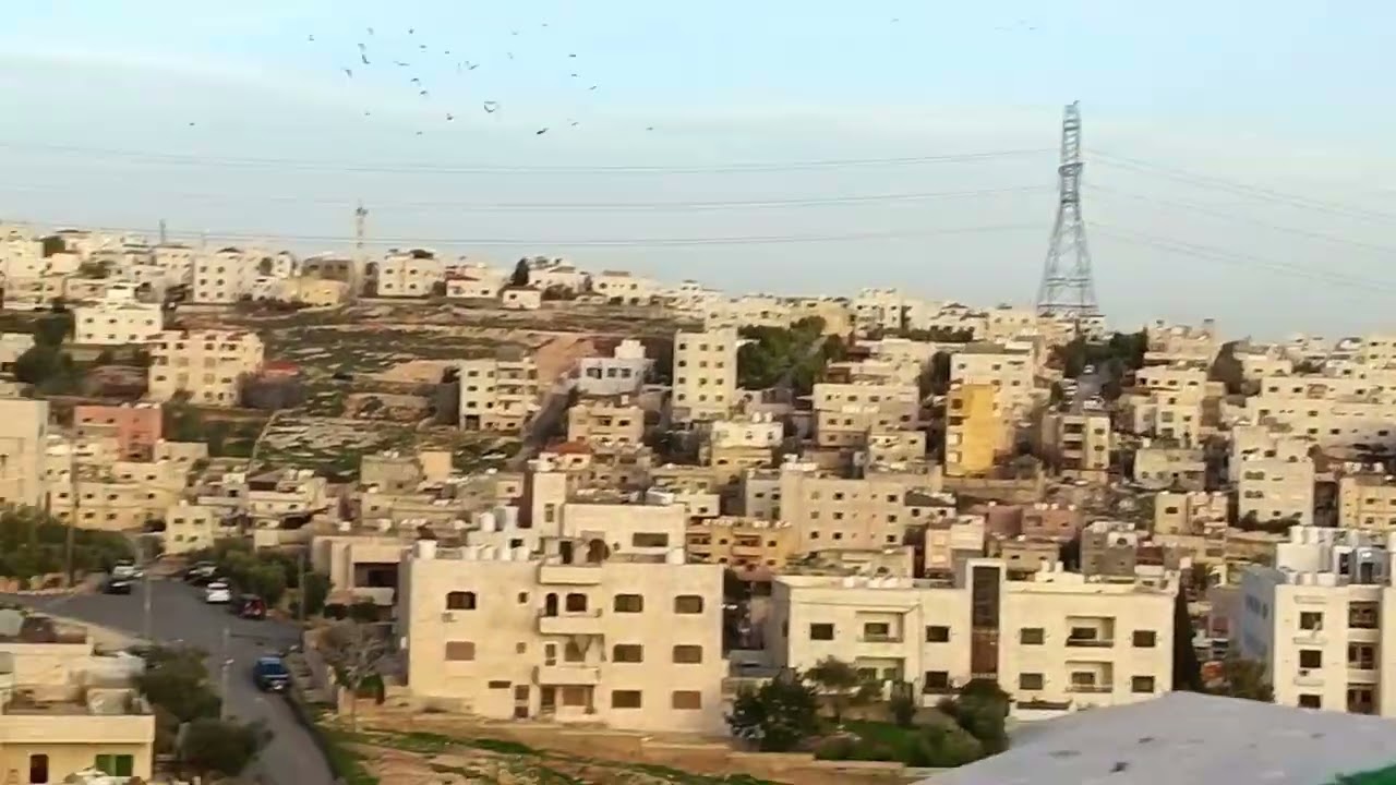 طلعنا موعد وقطعنا ثلث حبات بس ما حط إشي منهم لأن أنسيت اطعمي الثقلة 🙂