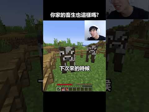 你家的畜生也有這問題嗎??