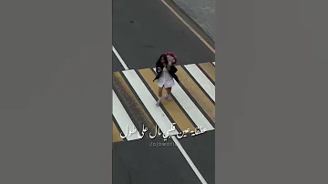 بحبك وبغار ياويلي من الغيرة Shorts 