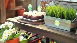 Party Planner: Time to Grow Birthday Party