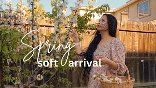 Slow and Simple Spring Preparation : Home and Garden Reset, Sowing seeds | Slow Living