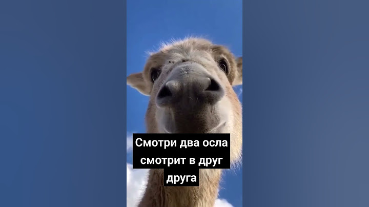 Теперь ты понял, кто ты? #рек #топ #shortsvideo