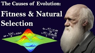 Fitness & Natural Selection | The Causes of Evolution | Ep. 3