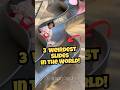 3 Weirdest Slides in the World!⁉️ Mp3 Song