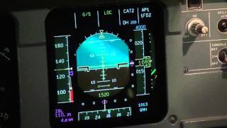 Why Are There Two Pilots In The Pit? Baltic Aviation Academy