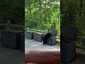 Bear Picks Trash Lock 🐻