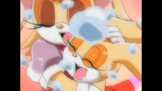 Sonic X Comparison Cream Finally Reunited With Her Mother, Vanilla The Rabbit Japanese Vs English
