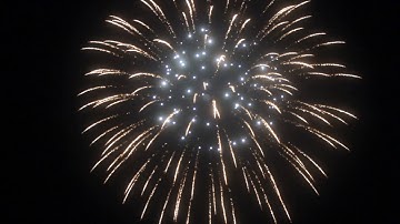 6寸锦冠变白闪带白闪芯 Brocade crown to white blink w white blink pistil