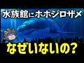 【疑問】なぜ水族館にはホホジロザメがいないのか？