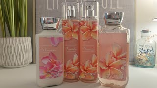 Bath & Body Work's PLUMERIA Fragrance Review! 🩷🌸