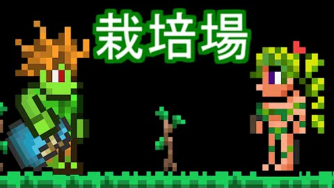 テラリア 植林