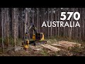 Tigercat 570 harvesting head in action in australia